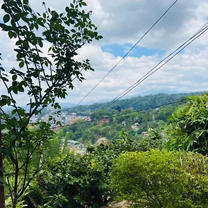Nocleg ze śniadaniem Mount Palace, Kandy